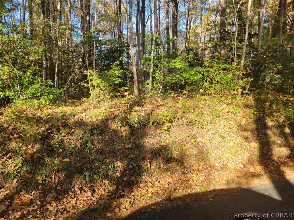 0 Sandy Point Road Heathsville, VA 22473 - Photo 2 of 3