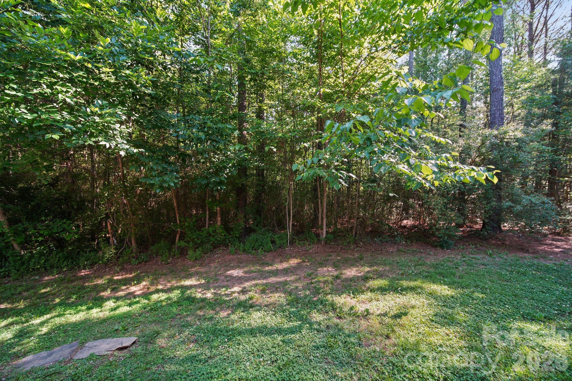 4507 White Store Road Wingate, NC 28174 - Photo 28 of 29 a backyard of a house with lots of green space and fountain