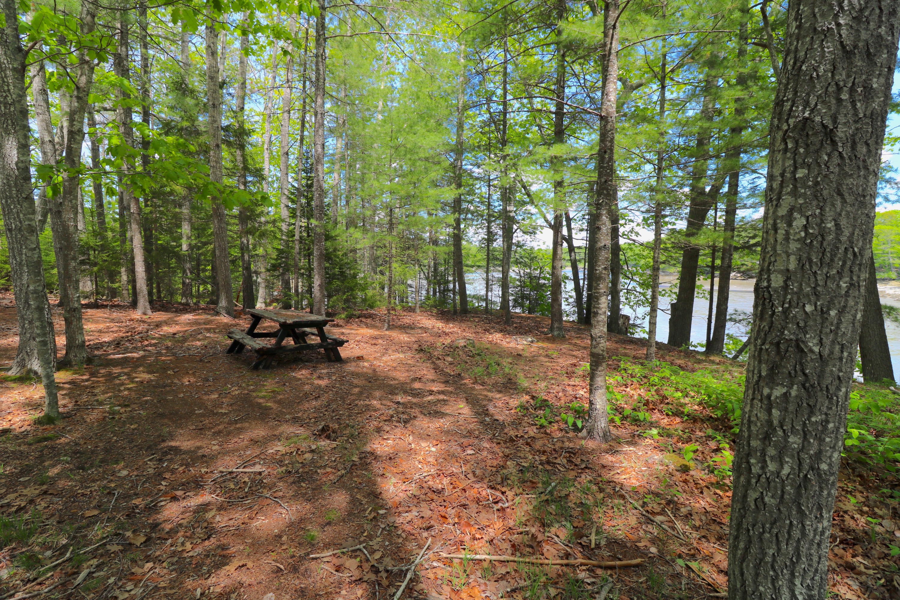 17 Bayview Court Friendship, ME 04547 - Photo 2 of 43 Relax by the water