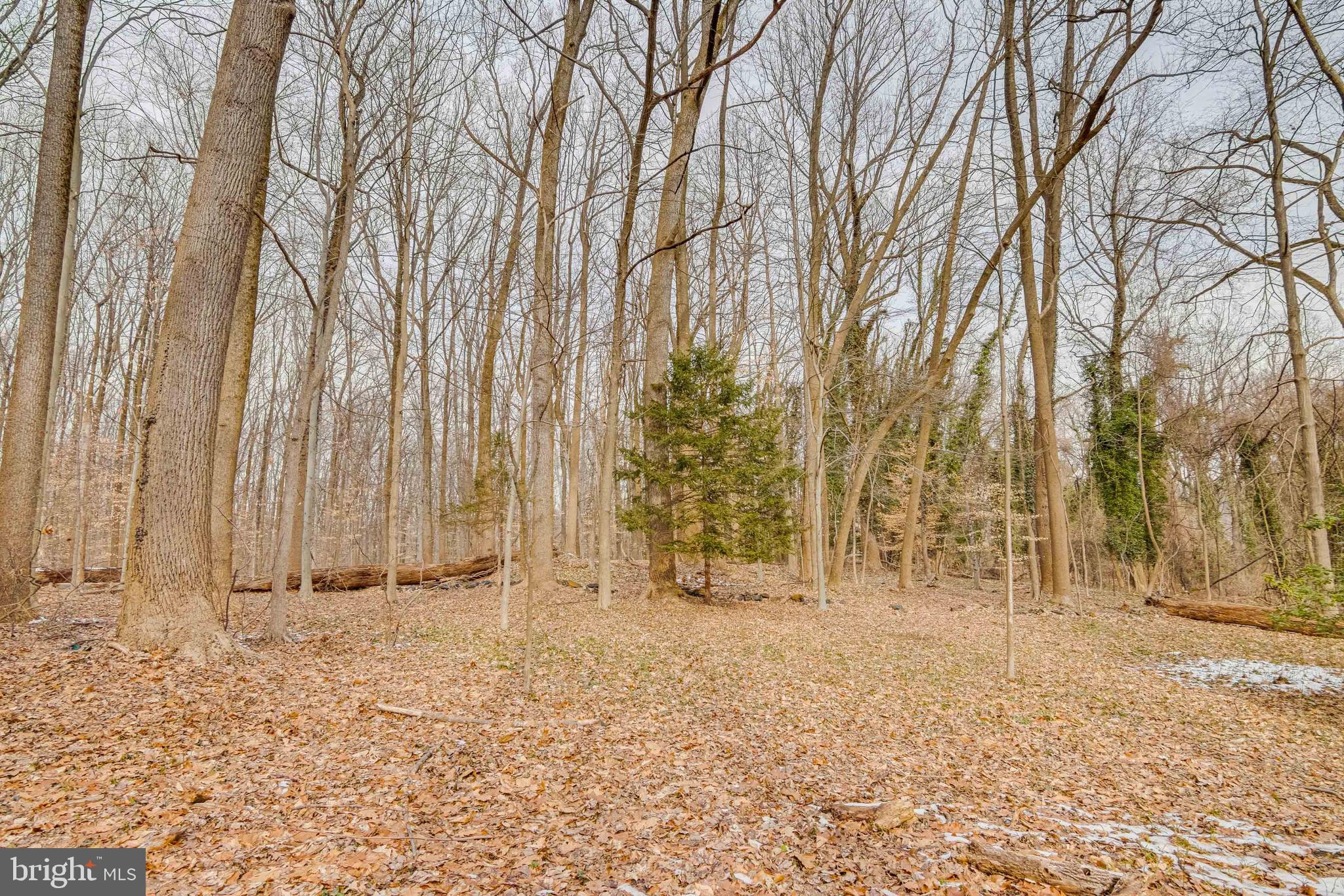 2403 Hillhouse Road Baltimore, MD 21207 - Photo 44 of 51 Gallery Image 44