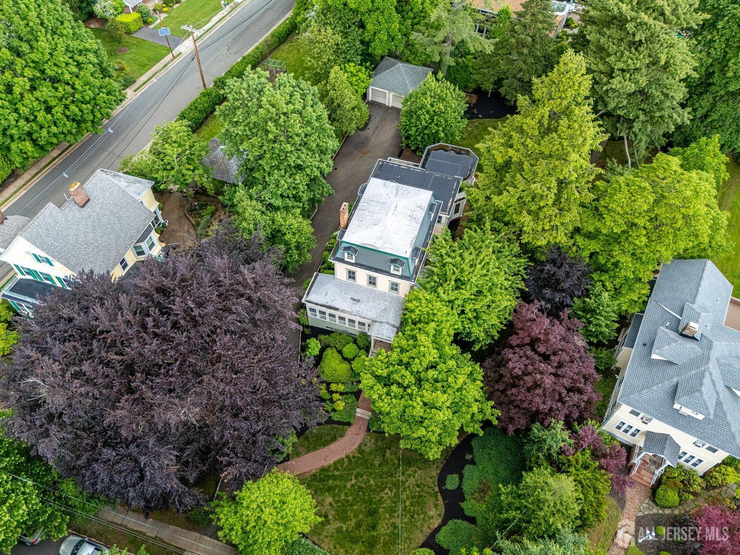 44 Rector Street Metuchen, NJ 08840 - Photo 18 of 65