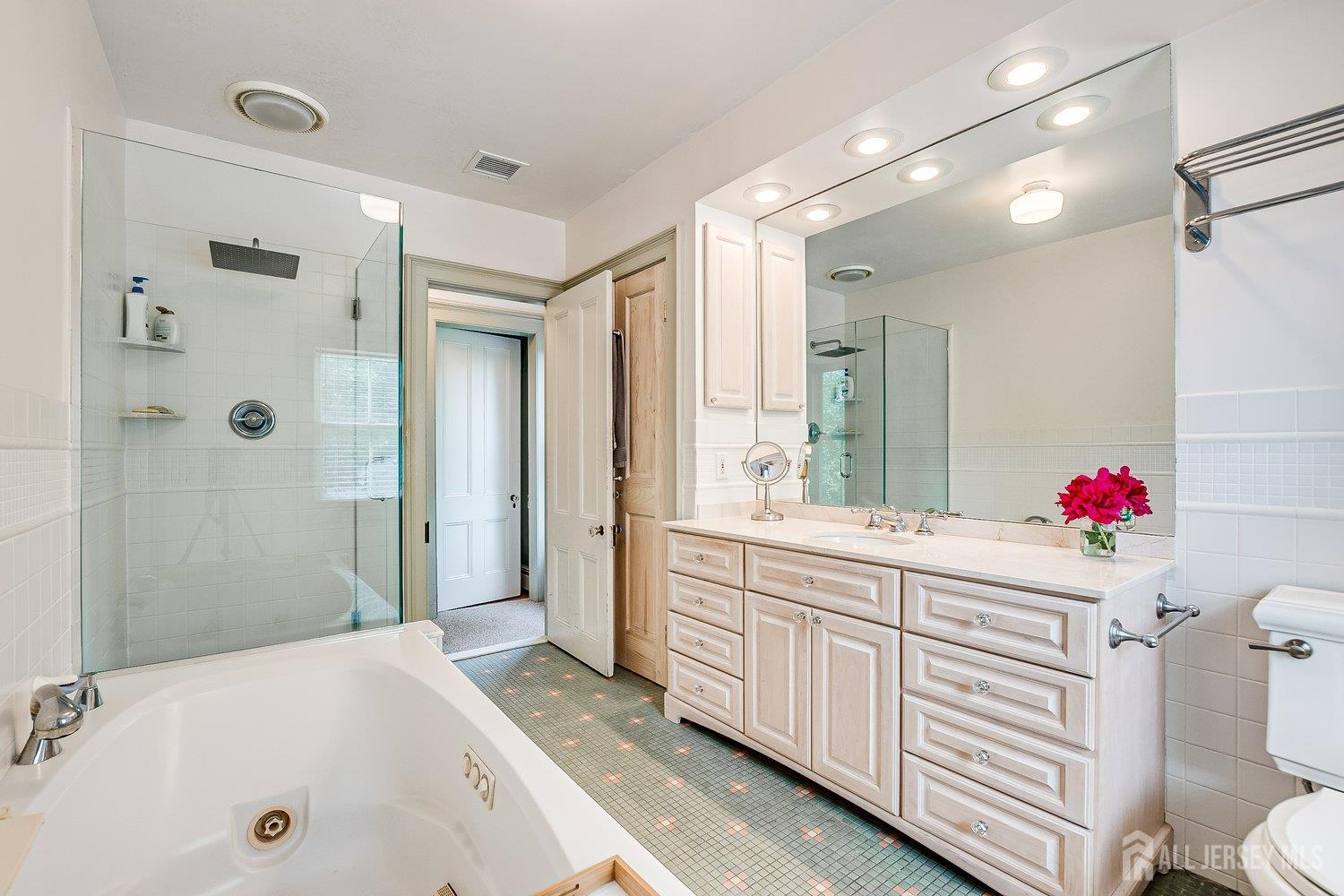 44 Rector Street Metuchen, NJ 08840 - Photo 53 of 65 a bathroom with a tub sink vanity and mirror