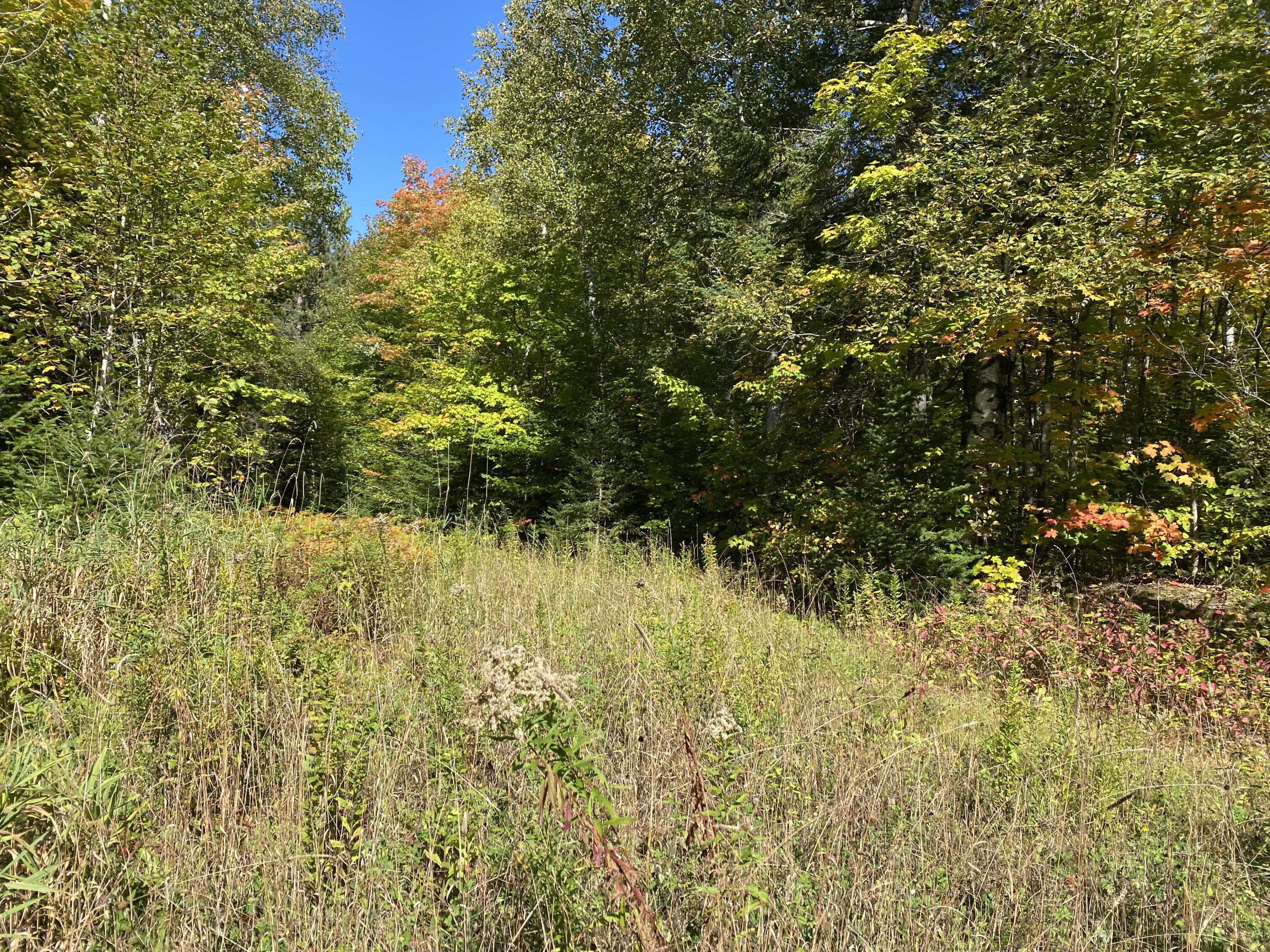 6 Sugartree Road St. David, ME 04773 - Photo 7 of 18 IMG_7265
