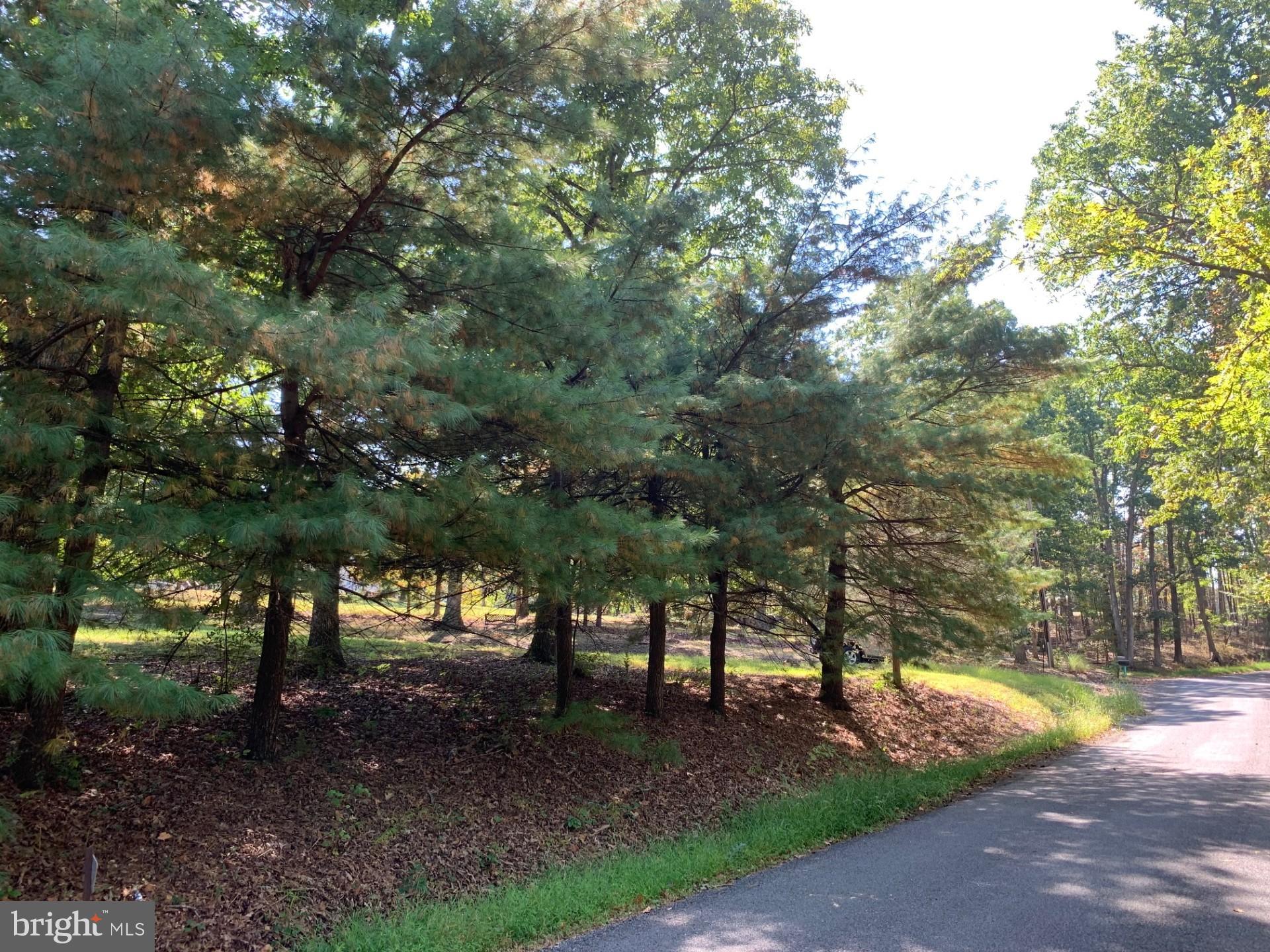 12087 Cove Road Clear Spring, MD 21722 - Photo 3 of 17 a view of a park that has large trees