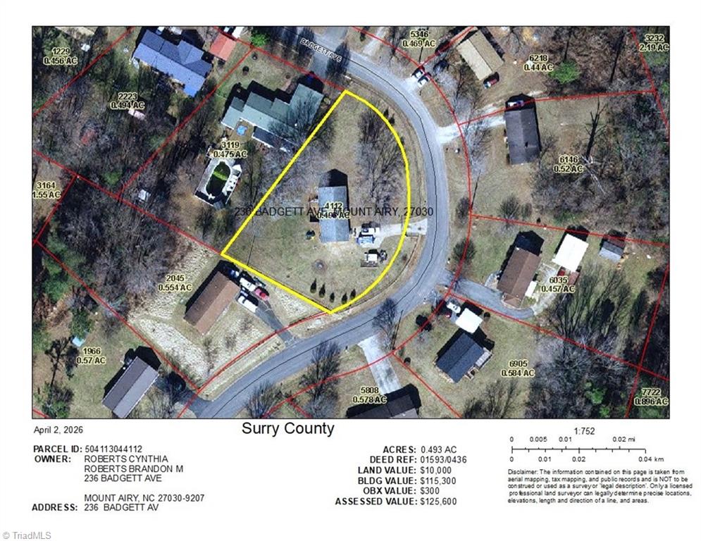 236 Badgett Avenue Mount Airy, NC 27030 - Photo 19 of 19