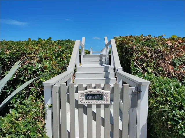 a view of outdoor space with palm trees