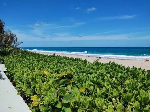 a view of beach and ocean