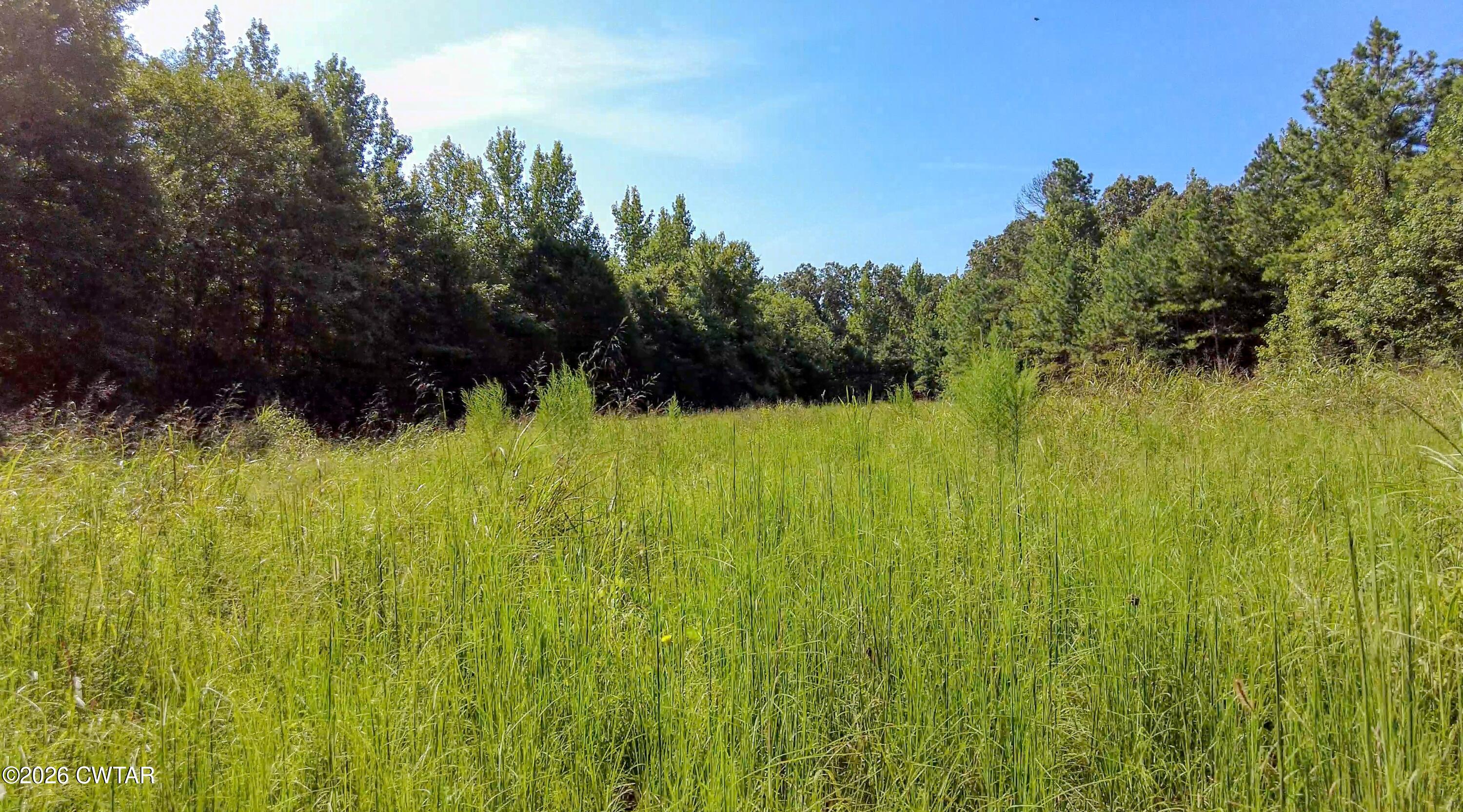 4349 Buena Vista Road Huntingdon, TN 38344 - Photo 42 of 68 Land2