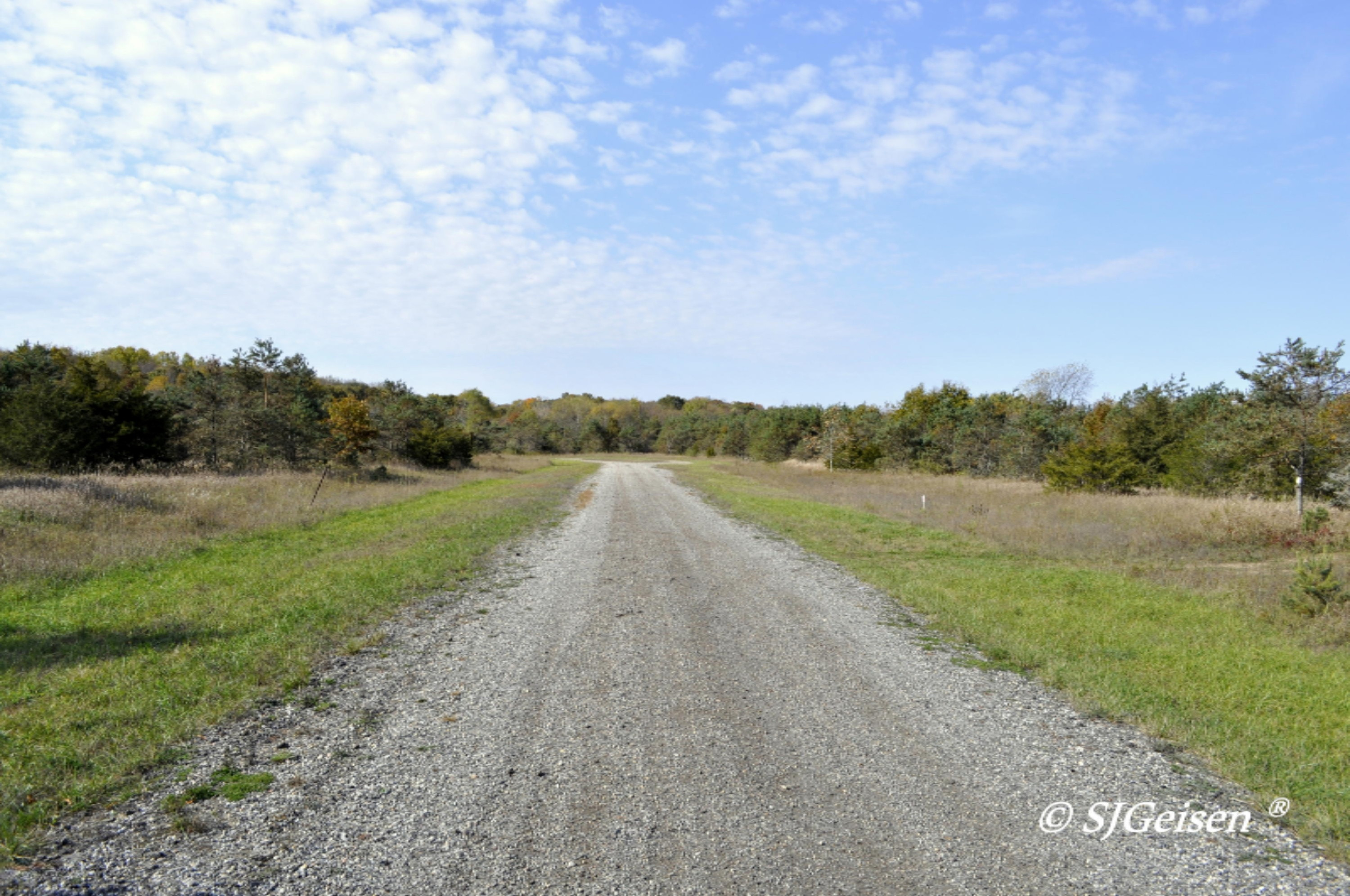3 Coyote Trail Belding, MI 48809 - Photo 5 of 10 Coyote-4