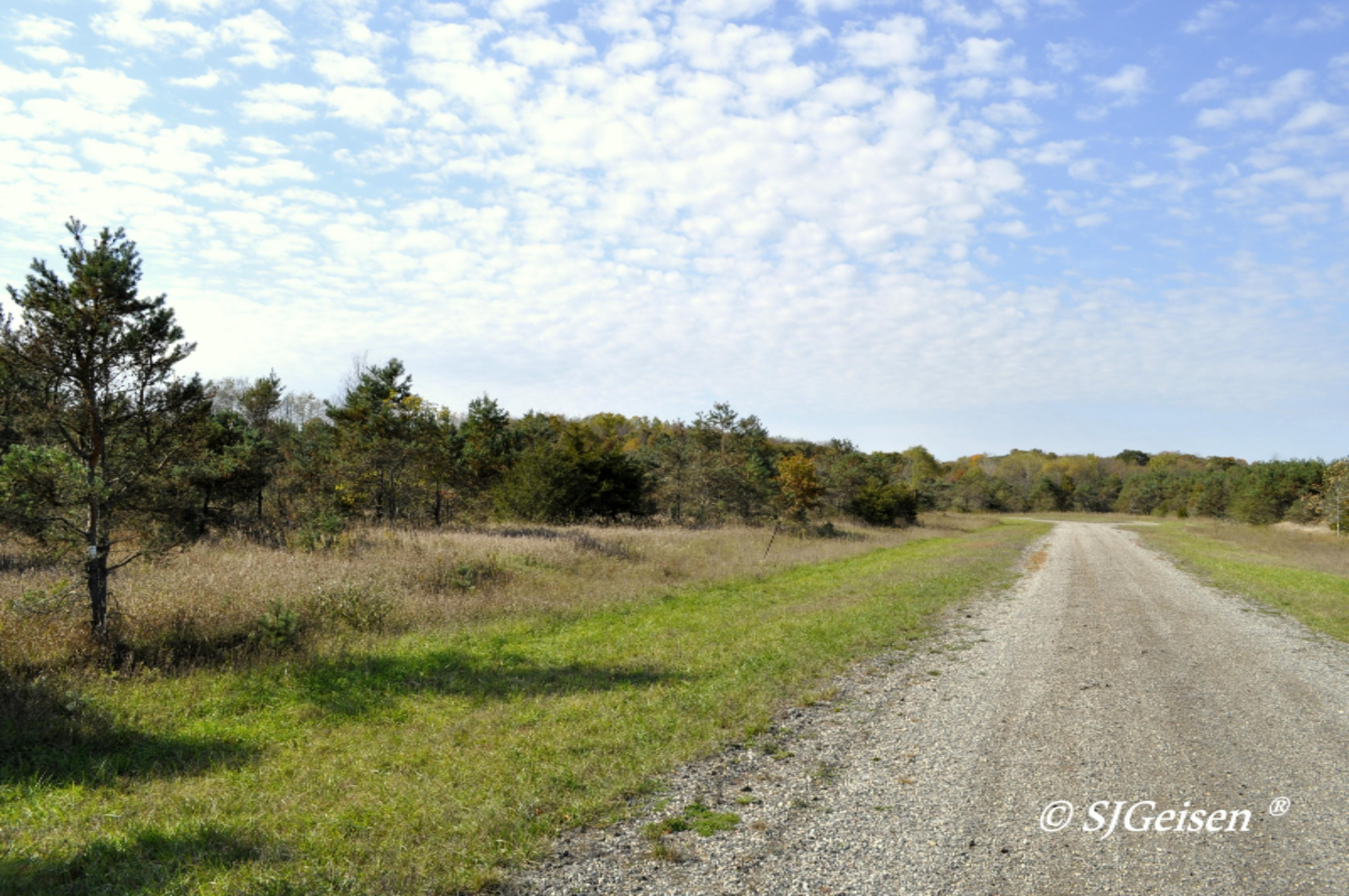 3 Coyote Trail Belding, MI 48809 - Photo 6 of 10 Coyote-5