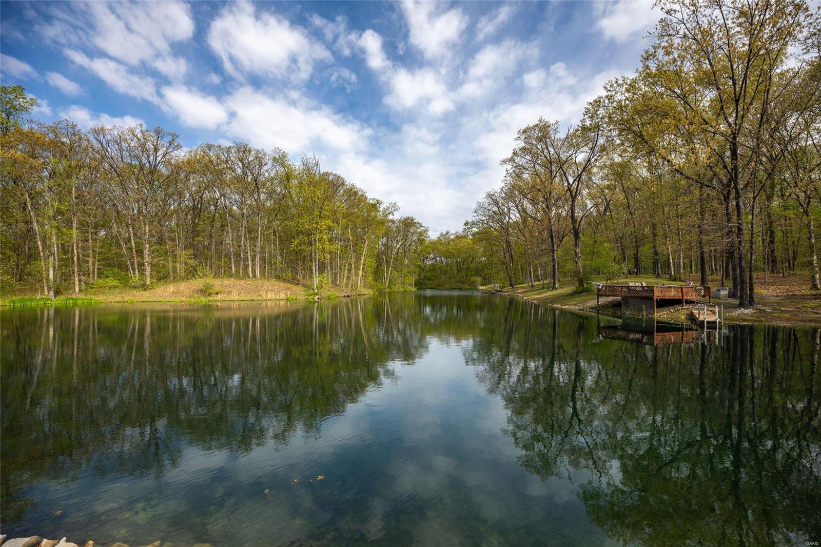 22263 Washer Road Mount Olive, IL 62069 - Photo 45 of 60