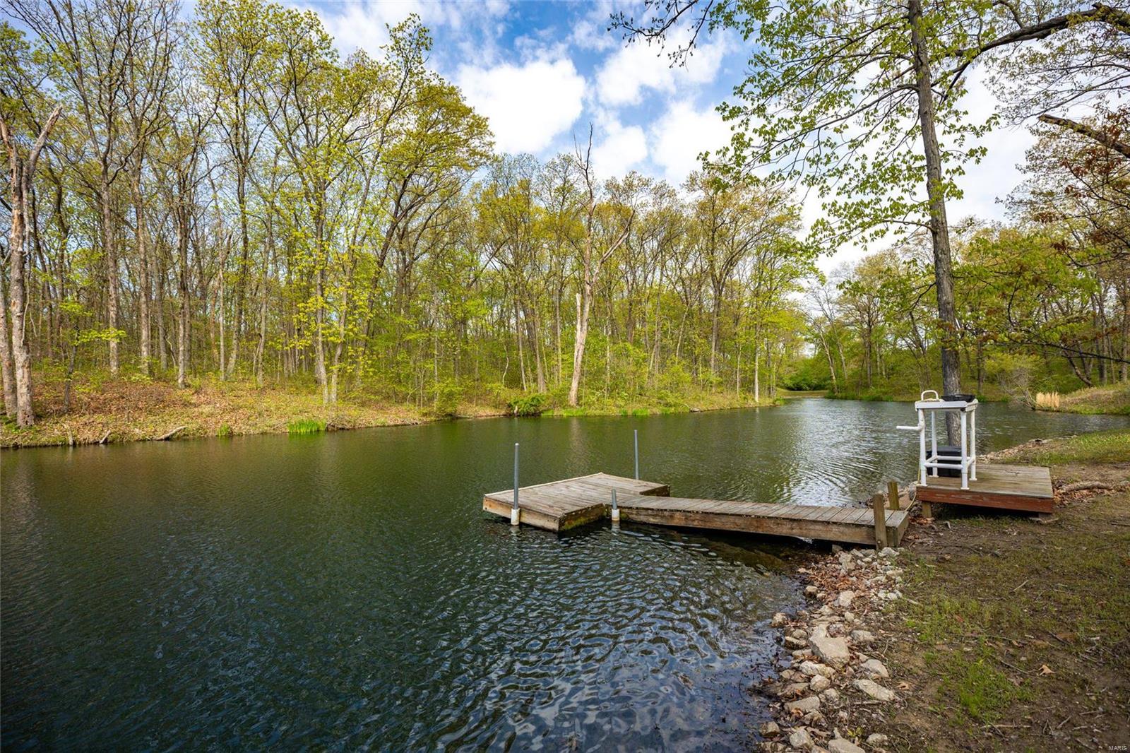 22263 Washer Road Mount Olive, IL 62069 - Photo 56 of 60
