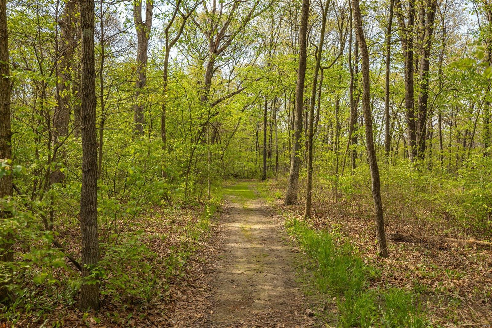 22263 Washer Road Mount Olive, IL 62069 - Photo 59 of 60
