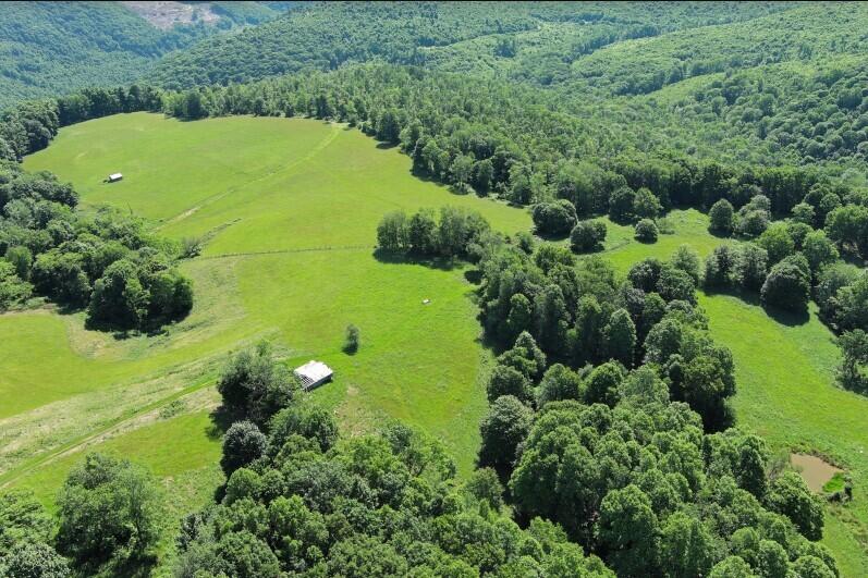 1024 River Road Rainelle, WV 25962 - Photo 9 of 31 Gallery Image 9