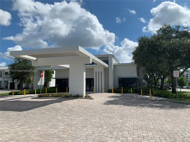 a view of park with plants