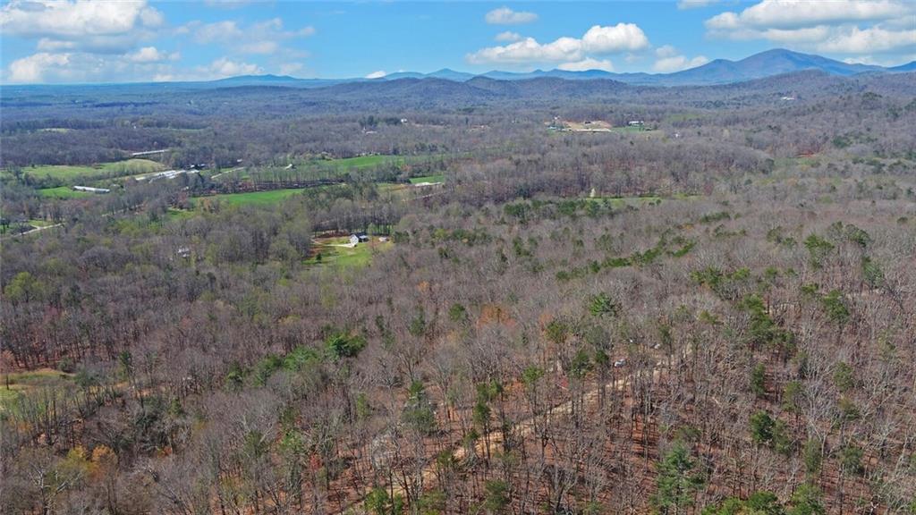 1492 Ivy Mountain Road Clarkesville, GA 30523 - Photo 38 of 47