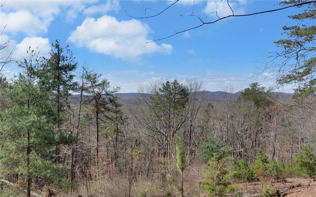 1492 Ivy Mountain Road Clarkesville, GA 30523 - Photo 40 of 53 a view of a bunch of trees