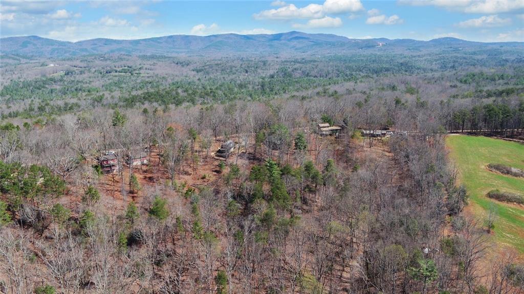 1492 Ivy Mountain Road Clarkesville, GA 30523 - Photo 41 of 47