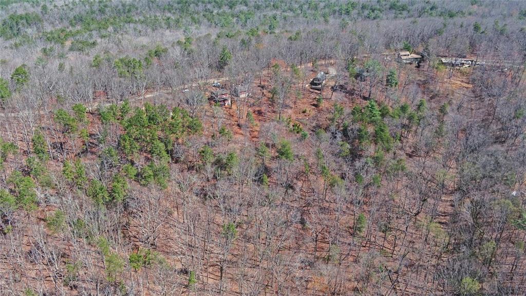 1492 Ivy Mountain Road Clarkesville, GA 30523 - Photo 43 of 53 a view of a forest with a dry yard