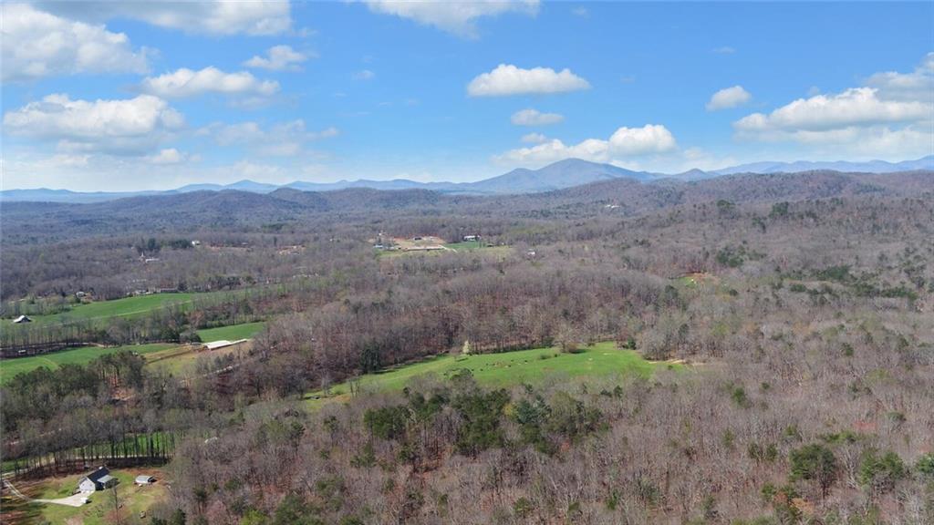 1492 Ivy Mountain Road Clarkesville, GA 30523 - Photo 46 of 53 a view of a yard with mountains in the background