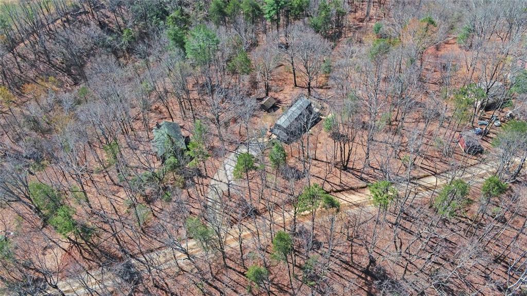 1492 Ivy Mountain Road Clarkesville, GA 30523 - Photo 47 of 53 a view of a forest in a forest