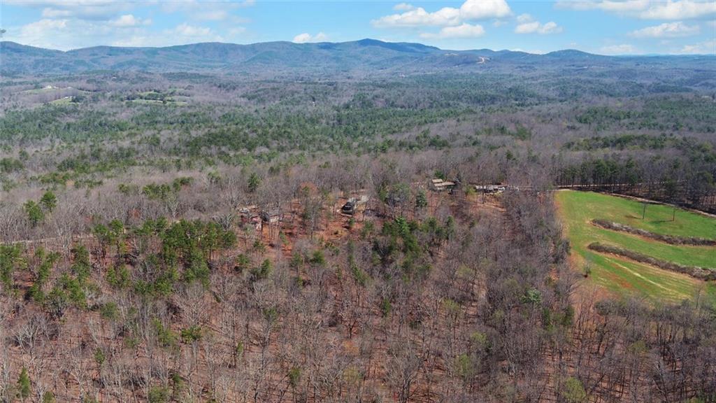 1492 Ivy Mountain Road Clarkesville, GA 30523 - Photo 48 of 53 a view of a mountain in the distance