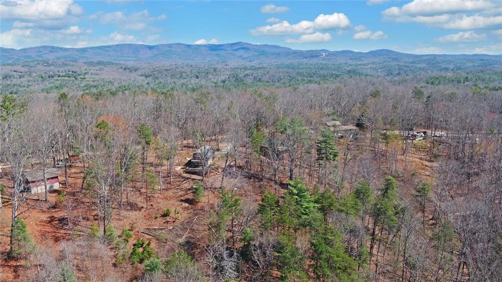 1492 Ivy Mountain Road Clarkesville, GA 30523 - Photo 49 of 53 a view of a lush green forest with lots of trees