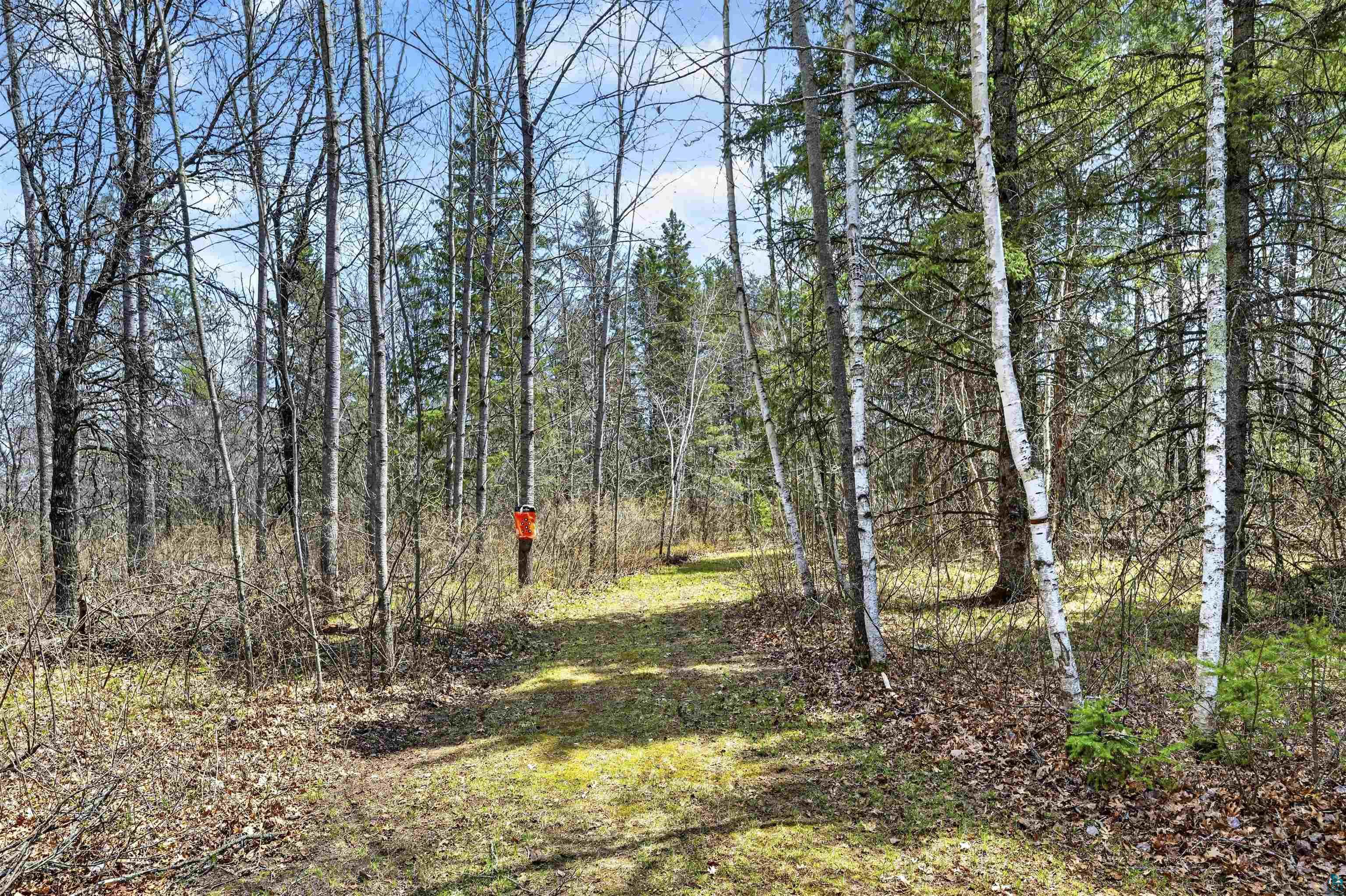 12235 East Crooked Lake Road Gordon, WI 54838 - Photo 43 of 48 Wooded property featuring a natural pathway, mature deciduous trees, and evergreen trees