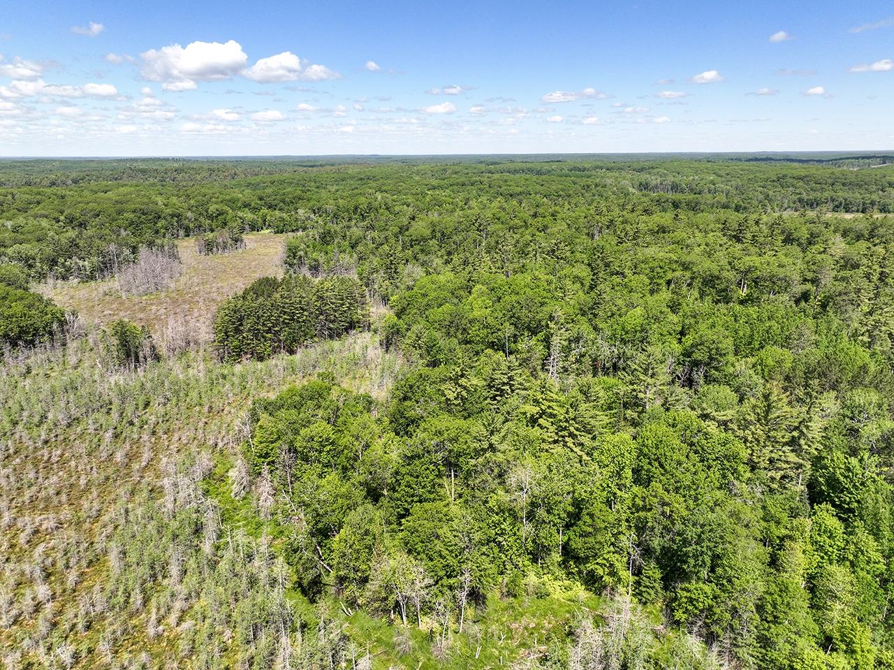 7895 Alva Lake Road Lake Tomahawk, WI 54539 - Photo 64 of 85 Gallery Image 64
