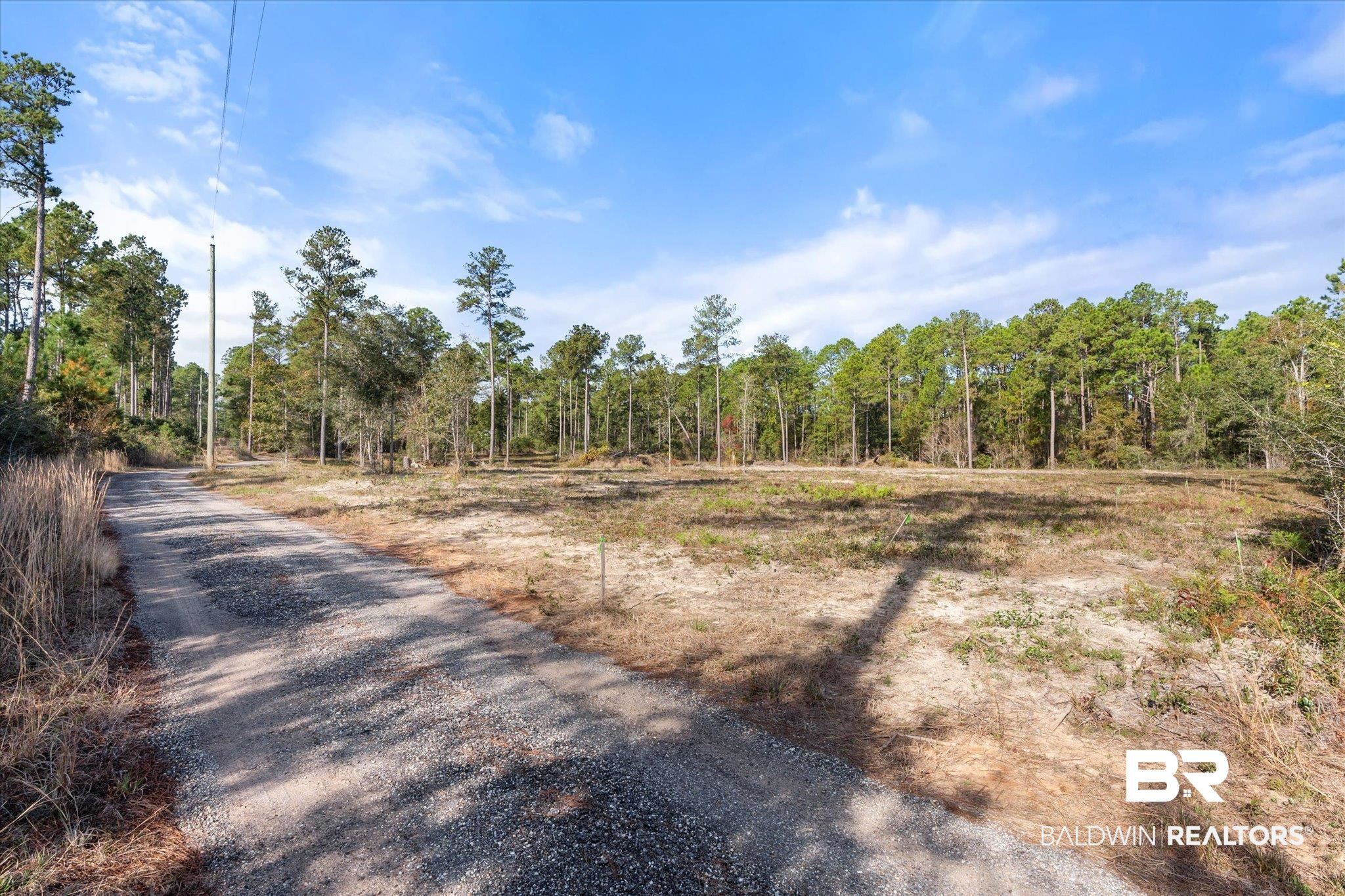 29883 Kingdom Lane Elberta, AL 36530 - Photo 1 of 17 View of street