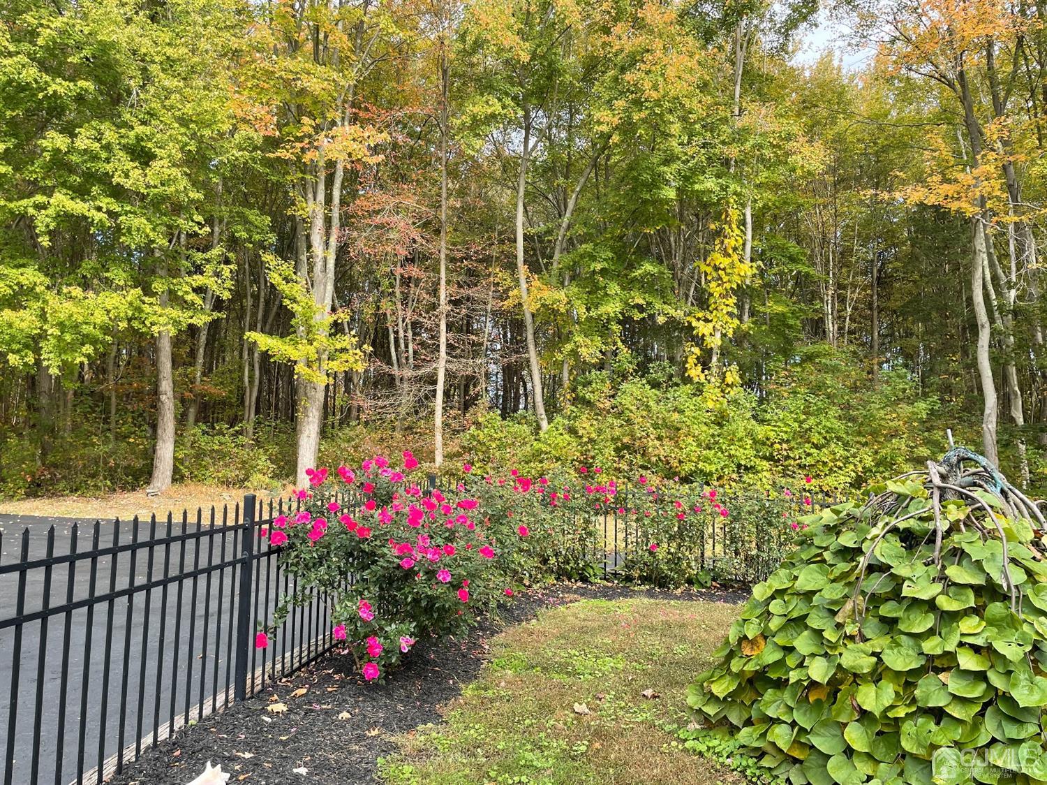 234 Morganville Road Old Bridge, NJ 07747 - Photo 6 of 52