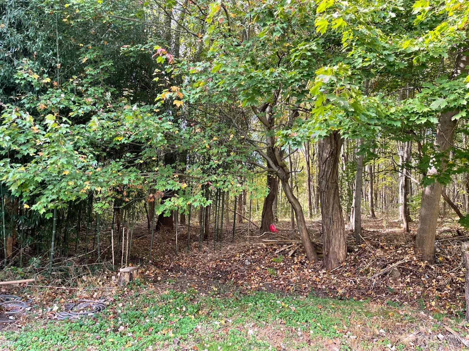 234 Morganville Road Old Bridge, NJ 07747 - Photo 7 of 52 a backyard of a house with lots of green space