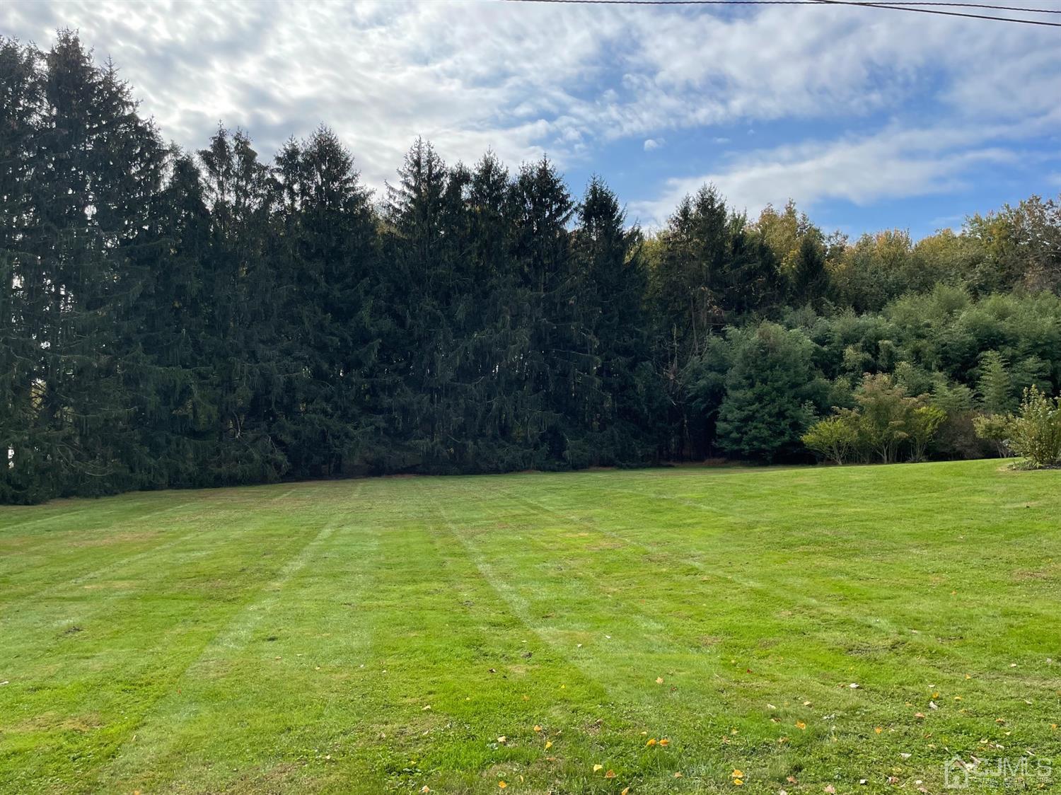 234 Morganville Road Old Bridge, NJ 07747 - Photo 8 of 52 a view of a field with an trees