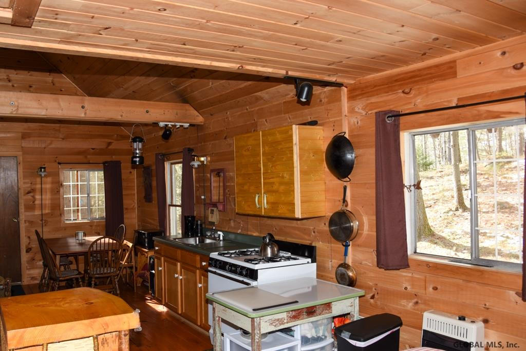 118 Federal Flats Road Minerva, NY 12857 - Photo 11 of 24 Photo 11