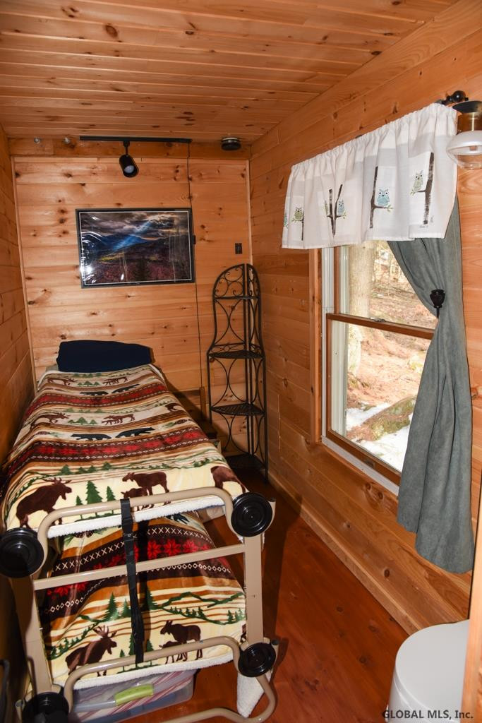 118 Federal Flats Road Minerva, NY 12857 - Photo 12 of 24 Photo 12