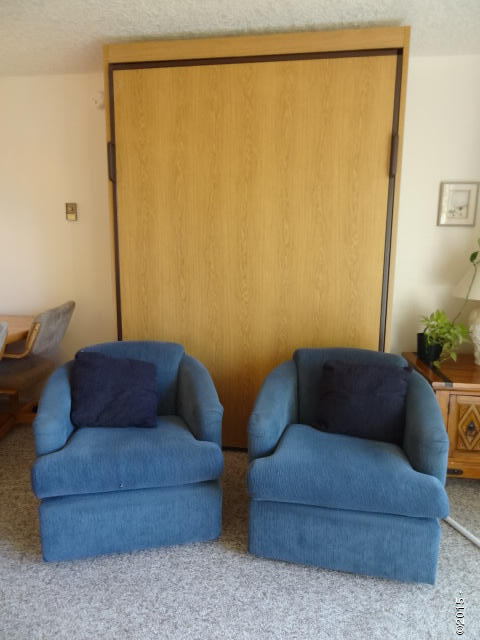 4229 Southwest Us-101 Lincoln City, OR 97367 - Photo 5 of 9 Murphy bed in living room