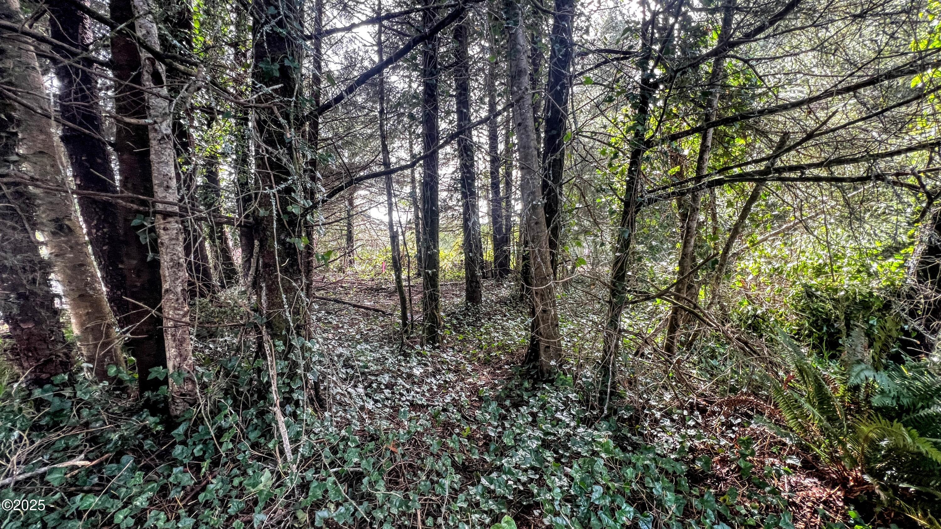 Tl2900 Southeast Rolph Court Waldport, OR 97394 - Photo 8 of 9 Lot