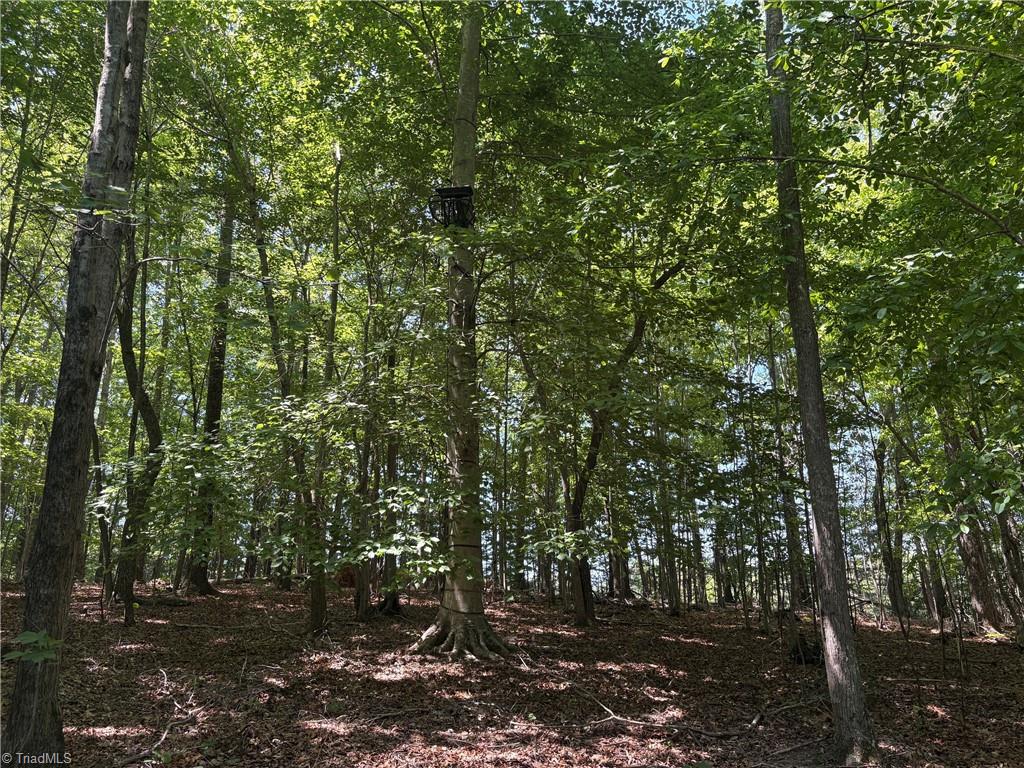 0 Witty Road Summerfield, NC 27358 - Photo 14 of 21