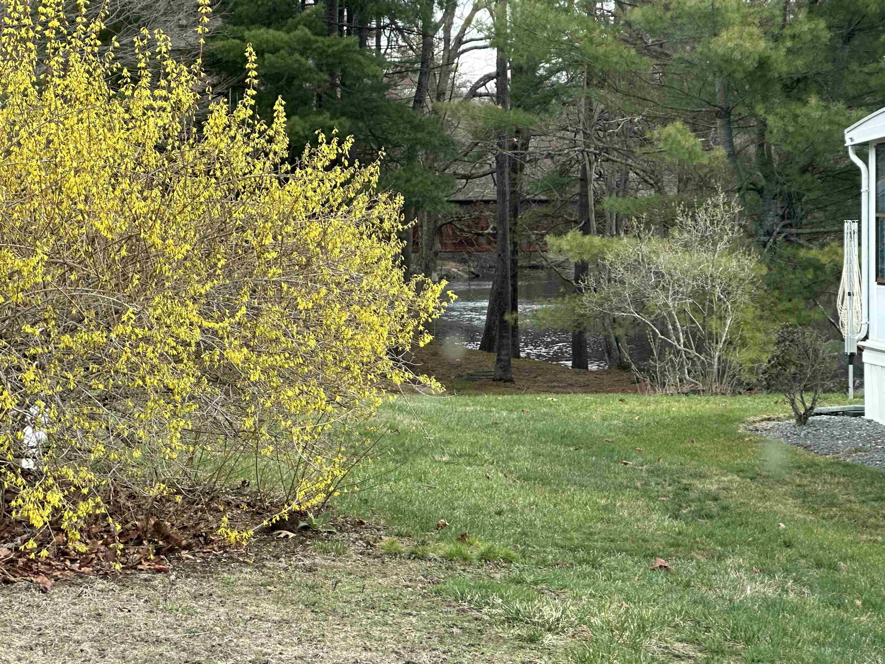 2 Sagamore Lane Rochester, NH 03867 - Photo 3 of 38