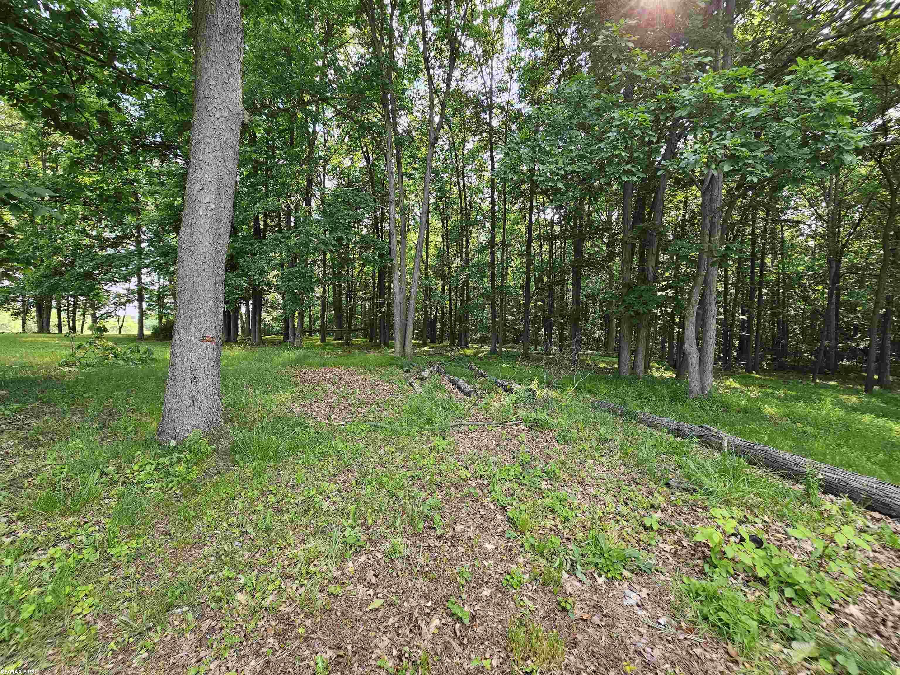 2895 Klam Road Lapeer, MI 48446 - Photo 28 of 31
