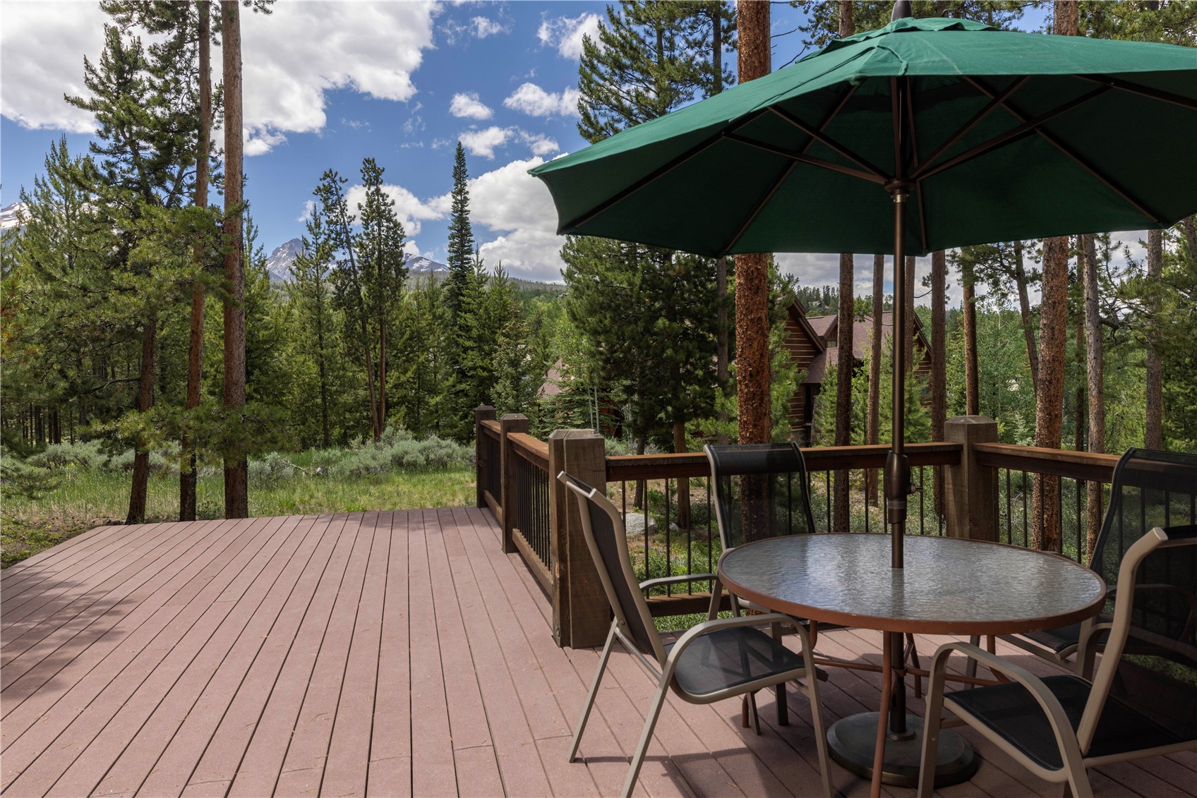 1755 Red Hawk Road Silverthorne, CO 80498 - Photo 4 of 40 Gallery Image 4