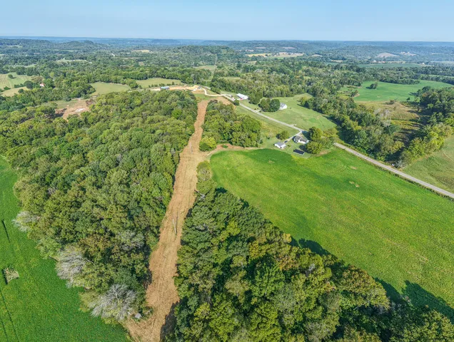 an aerial view of a house with a yard and lake view