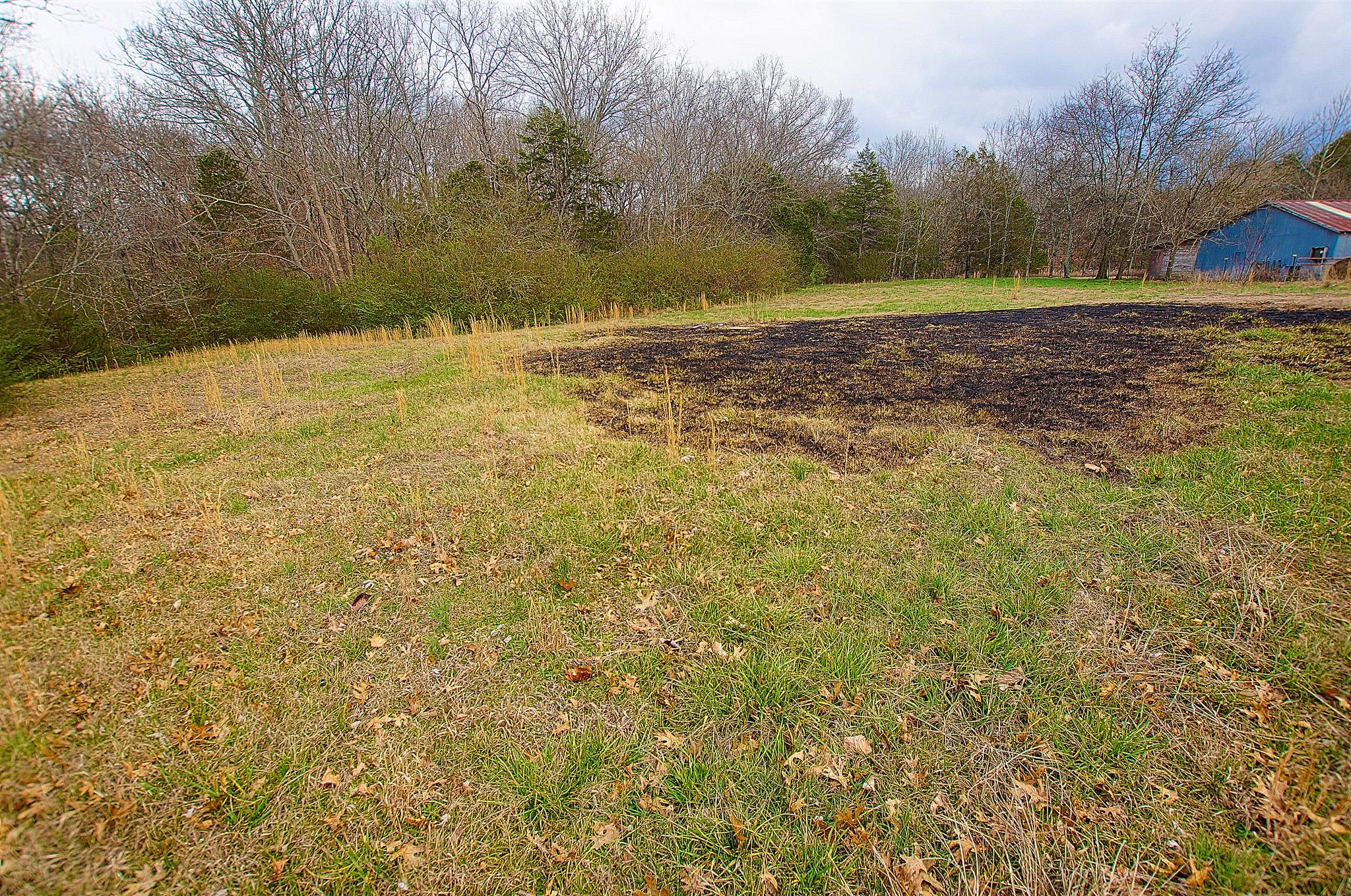 7887 Almaville Road Arrington, TN 37014 - Photo 9 of 29 Gallery Image 9