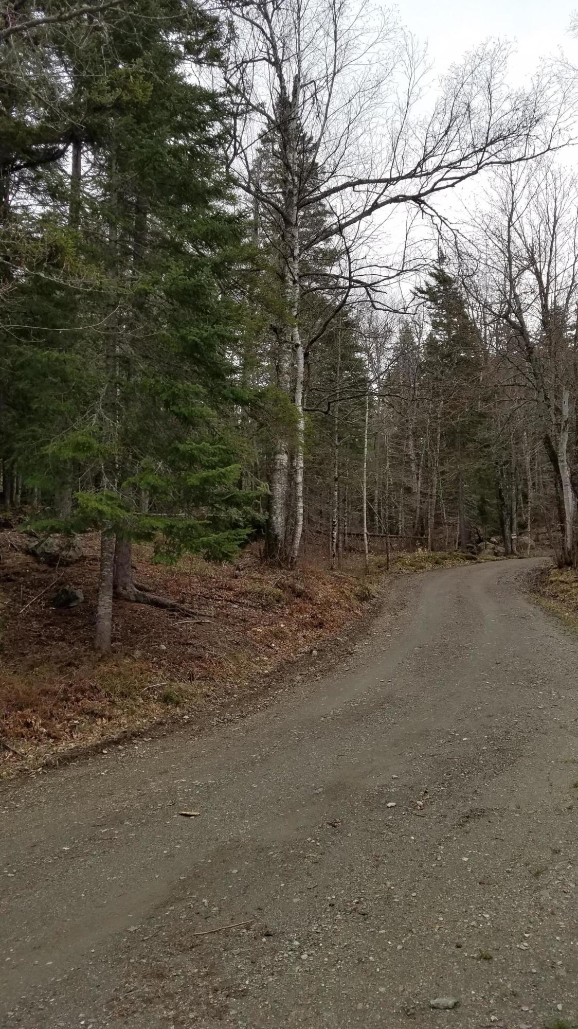 Tbd Lot 33 Tbd Road Stratton, ME 04982 - Photo 3 of 4 20210506_102828