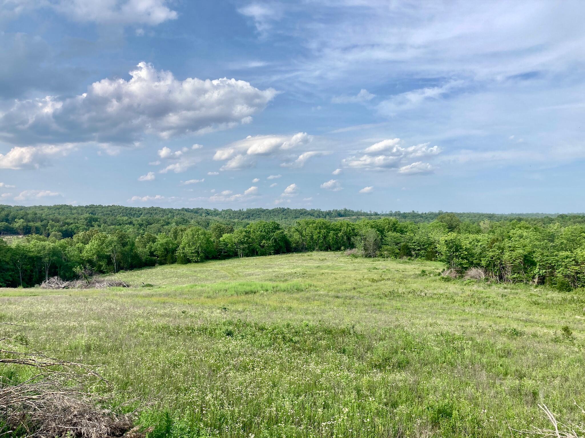 0 St George Road, Unit 48 Hartville, MO 65667 - Photo 1 of 1 48 (3)