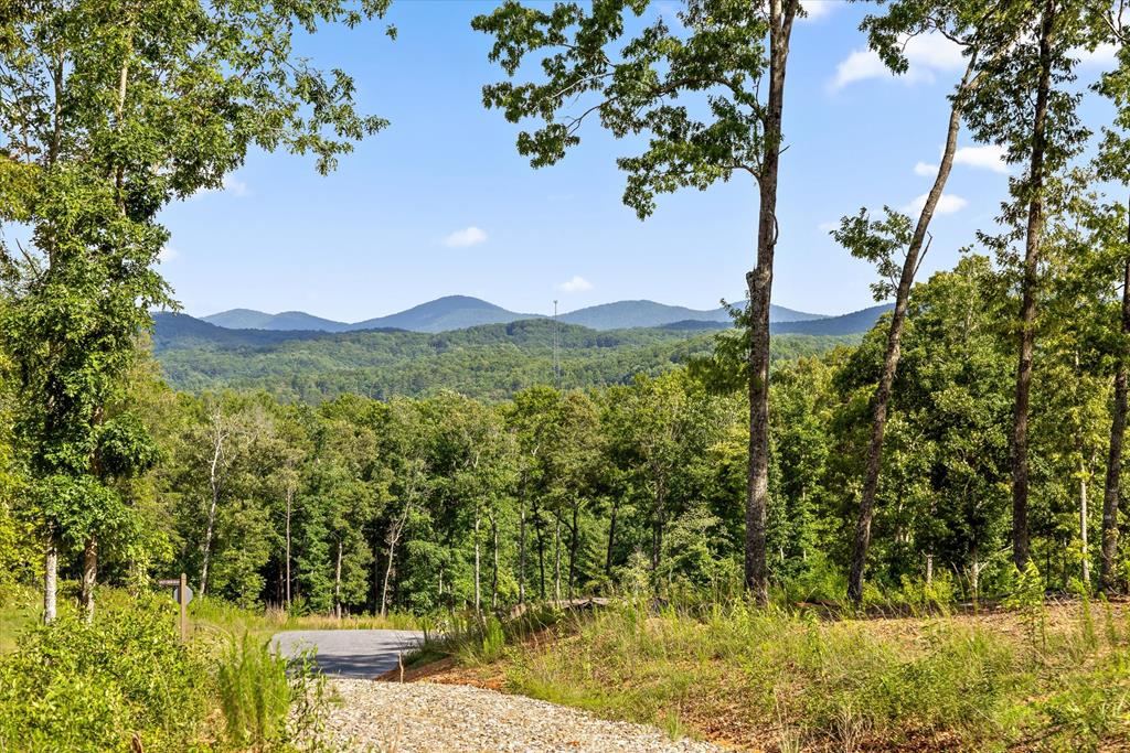 Lot 85 Split Creek Road Morganton, GA 30560 - Photo 1 of 23 Main View