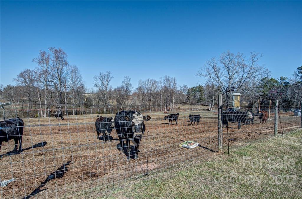 1628 Union Church Road Shelby, NC 28150 - Photo 33 of 35 Gallery Image 33