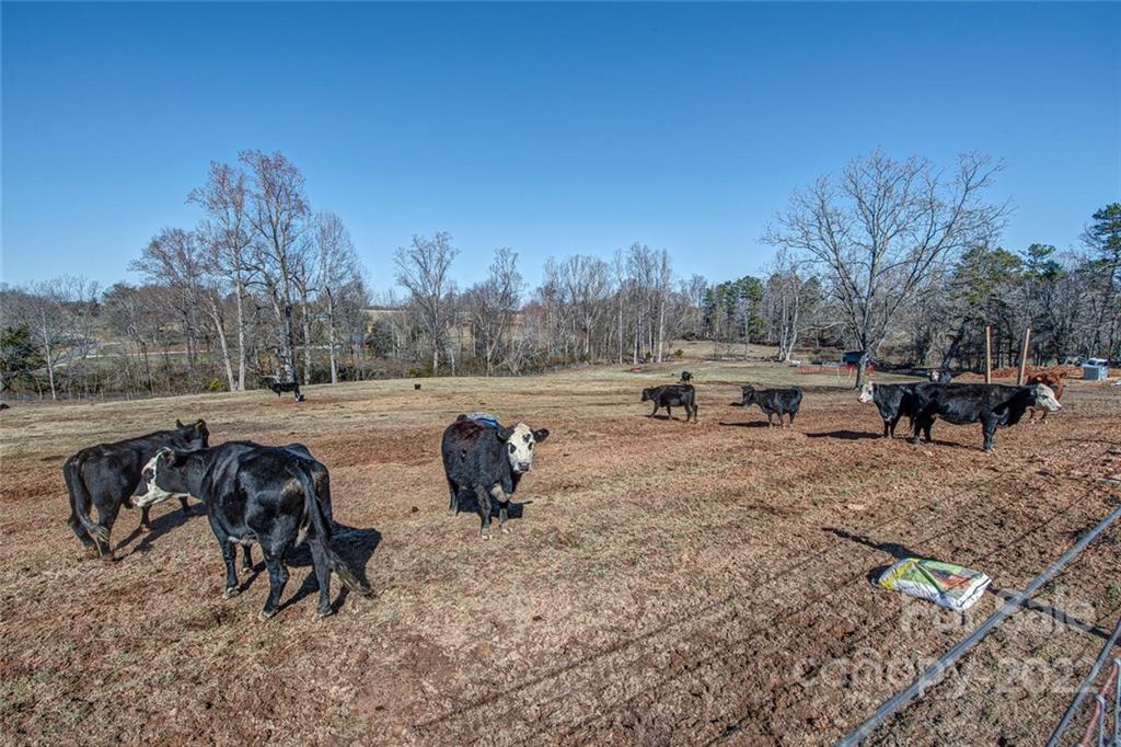 1628 Union Church Road Shelby, NC 28150 - Photo 34 of 35 Gallery Image 34