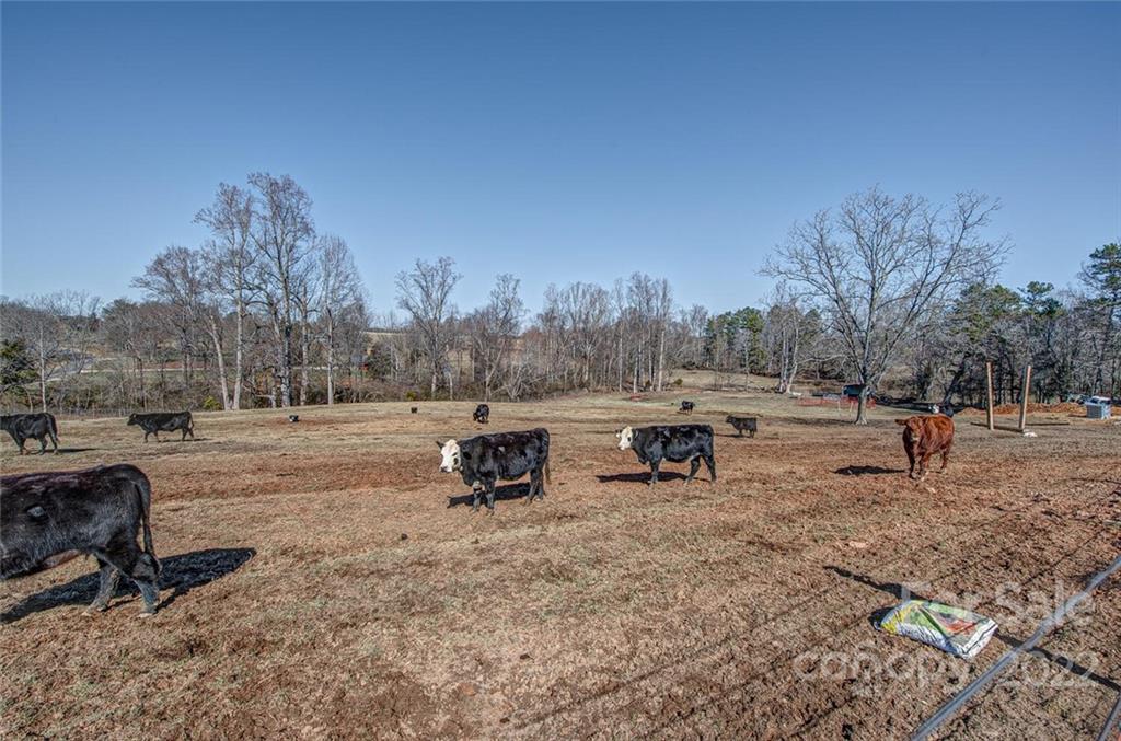 1628 Union Church Road Shelby, NC 28150 - Photo 35 of 35 Gallery Image 35