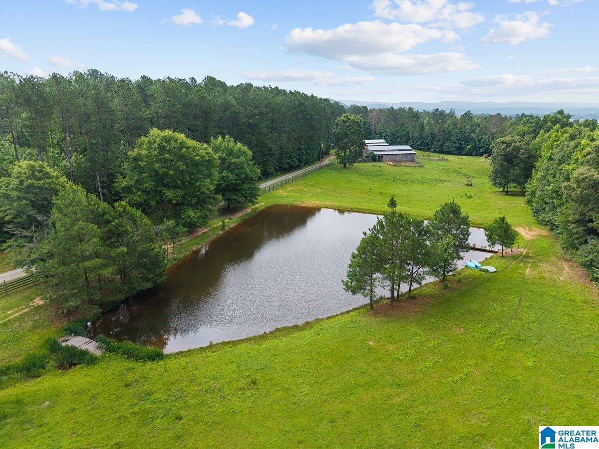 2040 Bud Mountain Road Blountsville, AL 35031 - Photo 4 of 47